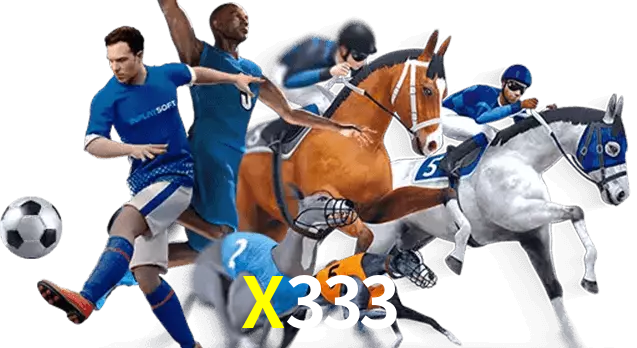 X333