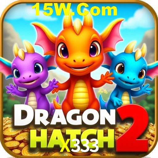 Flash Promotion X333