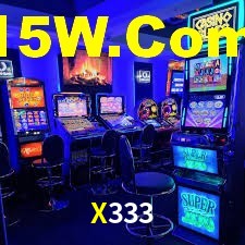 X333