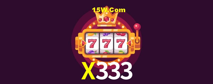 2FA Security X333