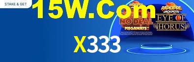 X333