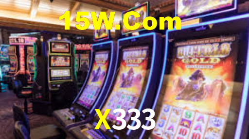 x333.com